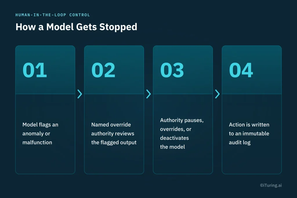 Four-step human-in-the-loop model shutdown process: anomaly detection, override authority review, model pause or deactivation, and recording the action in an immutable audit log.